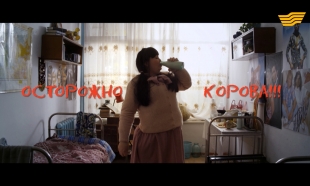 «Осторожно, корова!»